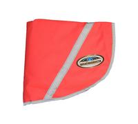 (XS, Pink) Weatherbeeta 300d Reflective Exercise Sheet