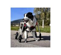 Xs To XXL Dog Wheelchair 4 Wheels Can Be 2 Wheels, Full Support Wheelchair For A Disabled Dog, Adjustable Dog Knee Brace For Double Rear Leg(XXL)