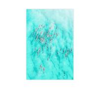 XSFDHAGT Dolphin Pod Aerial Ocean Marine Life Tropical Water Canvas Poster Wall Art Decor Print Picture Paintings for Living Room Bedroom Decoration 12" L X 18" W