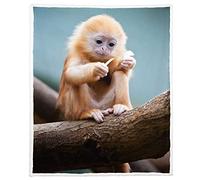 XSMEI Golden Monkey Sherpa Blanket, Animal Print Fleece Throw Blankets for Couch Sofa Bed, Super Soft Warm and Lightweight, 50" x 60"