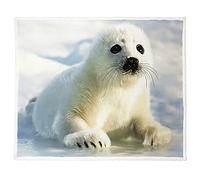 XSMEI White Seal Sherpa Blanket, Cute Animal Fleece Throw Blankets for Couch Sofa Bed, Super Soft Warm and Lightweight, 50" x 60"