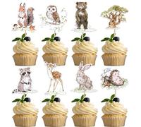 Xsstarmi 40 Pack Jungle Animals Cupcake Toppers Raccoon Hedgehog Owl Rabbit Cupcake Picks Bear Squirrel Deer Forest Cake Decorations for Animals Theme Baby Shower Birthday Party Supplies