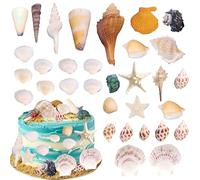 Xsstarmi Natural Starfish Conch Shells Cake Topper Decorations Mixed Beach Shells Conch Starfish Cake Pick for Baby Shower Kids Birthday Wedding Anniversary Party DIY Party Cake Decorations