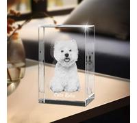 XSTZR Custom 3D Crystal Photo Gift, Personalised Gifts with 3D Laser Etched, Engraved Inside the Crystal Using Your Photo Customized Memorial Custom Mother’s Day Picture Gift (Cuboid)