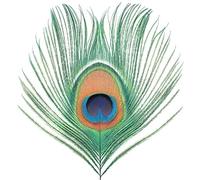 Apple Venus [VINYL], XTC, lp_record, New, FREE & FAST Delivery