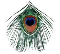 XTC - Apple Venus Vol. I