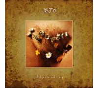 Xtc - Skylarking -Deluxe/Hq- [VINYL]