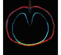 XTC WASP STAR (APPLE VENUS, PT. 2) NEW CD