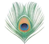 Apple Venus [VINYL], XTC, lp_record, New, FREE & FAST Delivery