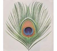 XTC (Xtc) - Apple Venus 1