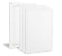 XTDMJ 20x30cm Canvas for Painting, 4 Pack Stretched Canvases for Adults, Acrylics & Oils Painting
