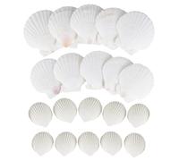 XTDMJ Shells Natural Shell Scallops, Decorative Shells for Crafts, DIY Creative Shell Painting Set as Vase Filler for Aquariums