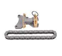 XTevu Timing Chain Kit, Engine Timing Chain Tensioner Set Cam Chain Kit 06F109217A 06F109218A Compatible with Audi A4 06D109229B