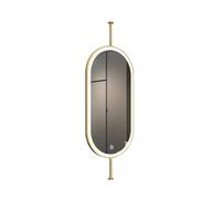 XTGDIEM Ceiling-mounted Floating Mirror With LED Light, Wall-mounted Oval Rod, 3 Dimmable Colors For Hotel And Apartment Decor(Gold,40x80cm)