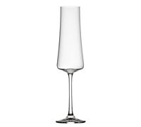Xtra Champagne Flute Glasses 29cl, Pack of 6 Crystal Wine and Spirit Drink Glass