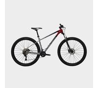 Xtrada 5 - Grey, Grey LGE-27