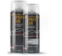 Xtremeauto Aerosol Spray Paint Kit For Ford Ka Moonlight Silver 9Qgc 400ml Repair Paint Can