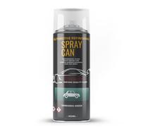 Xtremeauto Aerosol Spray Paint Kit For Ford Ka Verdigris Green R 400ml Repair Paint Can