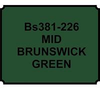 Xtremeauto MID GREEN Heat Resistant Paint 250ML Brush ON…