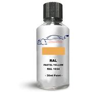 Xtremeauto Touch Up Paint Interior/Exterior RAL 1034 Pastel yellow Glossy Finish Interior Scratch Repair: Wall, Cabinets, Trim, Molding, Furniture, Windows, Fascia