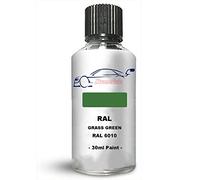 Xtremeauto Touch Up Paint Interior/Exterior RAL 6010 Grass green Dull Matt Finish Interior Scratch Repair: Wall, Cabinets, Trim, Molding, Furniture, Windows, Fascia