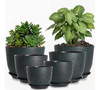 Xtrillogen 25/23/20/18/16/12 Large Plastic Plant Pots Indoor,6PCS Indoor Plant Pot with Drainage Holes and Saucer,Small House Garden Flower Planters(Black with Green)