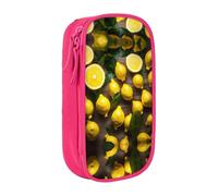 XTUAG Fresh Tropical Lemons Large Capacity Double Layer Student Pen Caseback To School Supplies Forteen