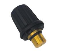 XTYHZEUFX 1/2 Pack, Steam Cleaner Brass Safety Valve, Compatible For KARCHER, SG4-4 2.889-104.0 Vacuum Cleaner Parts(1pcs)