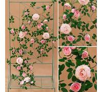 Xuanning Store 5.7ft Artificial Flower Wall Backdrop - Premium Garden Party Decorations Indoor/Outdoor Faux Flowers in Pink/Rose Red/Purple/White/Champagne