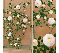Xuanning Store 5.7ft Artificial Flower Wall Backdrop - Stunning Garden Party Decorations Indoor/Outdoor Faux Flowers in Pink Rose Red Purple White & Champagne