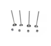 Xuanqingyi Store Motorcycle Engine Parts Valve Stem Oil Seal Compatible With HYOS*UNG 250cc GT250 GT250R GV250 GT GV 250 valves and springs