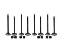 Xuanqingyi Store Motorcycle Engine Parts Valve Stem & Oil Seal Kit Compatible With Kawa*saki EL250 EL252 EX250 ZZR250 GPX250R valves and springs(4 pairs)