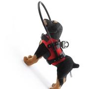 Xuanxi Easy to Wear Collisions Proof Circlet Protective Leash for Visually Impaired Pet Adjustable Breathable Polyester Design Dog Leash Harness