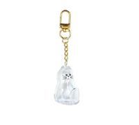 Xuanxi Pet Furs Collector Clear Acrylic Hanging Organizers Cats Charm Decorative Travel Storage Case Keychain Pendant Gift Pet Keepsakes Case