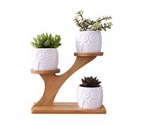 XUDREZ 3Pcs/Set Owl Succulent Pots with 3 Tier Bamboo Saucers Stand Holder, White Ceramic Flower Planter Plant Pot with Drainage, Garden Mini Cactus Pot (Three piece)