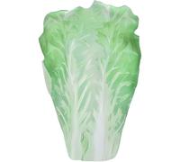 XUEYEGONGJI Food Costume Adult Halloween Costumes Funny Realistic Lettuce Food Costume for Adult Fruit & Veggie Soft Skin-Friendly One Size Fits All Costume Colorful Fruit Costume