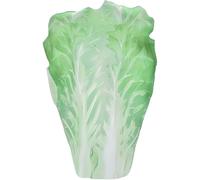 XUEYEGONGJI Halloween Costumes Funny Lettuce Food Costume for Adult Fruit & Veggie One Size Fits All Costume Colorful Fruit