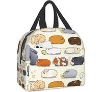 Xuhua Guinea Pig Parade Lunch Bag Boxes Tote Insulated Reusable,Lunch Bag Lunchbox Durable Waterproof Zipper Hangbag Portable for Boys Girls School Supplies