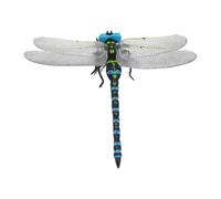 Xujuika Dragonfly Toy | 3D Fake Dragon Fly Toy for Kids,Animal Figurines Garden Decor for Kids Learning Classroom Demonstration Baby Toddler Stroller Lawn Patio Garden
