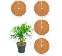 XUKZIMA Coconut Mat Pack of 4 | Diameter 20 cm Round Mulch Discs | Winter Protection for Pot Plants and Flower Pots | Natural Fibre Mats for Optimal Root Insulation