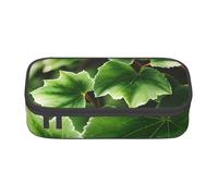XULLZH Ivy Blossoms Tree Print Large Capacity Compartments Pencil Case Pencil Pouch Bag Travel Toiletry Organizer Bag, Black, One Size, Modern