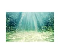 XUMKFJRE Fish tank background 3D Aquarium Background Poster PVC Adhesive Sticker Fish Tank Underwater World Backdrop Ocean Sea Plants for Decor(White,30x61cm)