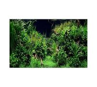 XUMKFJRE Fish tank background Forest Sticker Aquarium Background Ornament Poster Landscape Self Adhesive Fish Tank Backing Paper for Decor(WHITE,41x61cm)