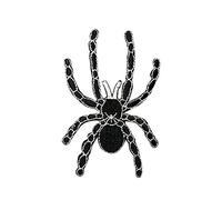 XUNHUI Black Spider Patch for Clothing Iron on Embroidered Sew Applique Fabric Clothes Badge Garment DIY Apparel Accessories 1 Piece