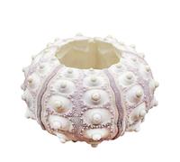 Xuniu Air Plants Sea Urchin Tabletop Tillandsia Holder Miniature Gardening Decorations 4cm-7cm