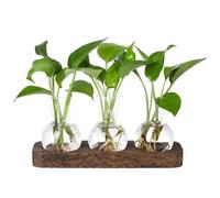 Xuodawer Plants Propagation Stations Glass Vase Station Retro Plant Terrarium with Wooden Tray Bulb Flower Vase Home Office Decor