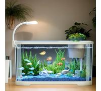 XUQEAYWD Aquarium Starter Kits, 30x20x19cm Small Betta Fish Tank With LED Light, Desktop Fishes Tank Kit, Betta Fish Tanks Full Set Up, Small Clear Desktop Aquarium For Living Room Office Decoration