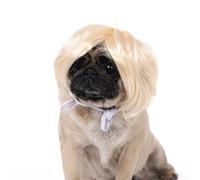 XuQiZZpp Funny Cats Dogs Colorful Wigs Ikun Costume Dog Hair Dress Party Hairpiece For Dress/Christmas Presen Pet For Dogs