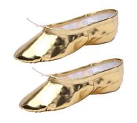 XuQiZZpp Unisex Adult Dance Shoes Accommodating Special Feet Silver Gold Colors Costume Coordination Folk Belly Dance