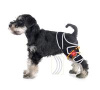 XUVIRA Dog Knee Brace for Acl Injury Recovery, Adjustable Support for Joint Pain and Mobility, Suitable for Front or Rear Legs, Helps Stabilize Ligaments and Improve Daily Activity, S